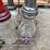 oil-bottles-and-carrier-image-2