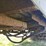 great-dane-trailer-image-7