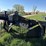 new-holland-2330bf-image-14