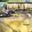 #6100-•-100-gallon-diesel-tank-(loganville,-wi)-image-2