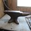 vanadium-steel-anvil-image-1
