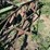 john-deere-145-image-11