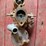 rayfield-carburetor-image-3