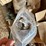 jd-corn-planter-parts,-image-7