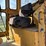 caterpillar-12f-image-51
