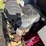 yazoo/kees-zvkw61252-zero-turn-mower-image-9