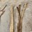 misc.-tow-straps-image-4