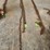 chains-image-1