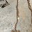 chains-image-1