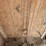 chain-hoist-image-2