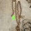 chains-image-2