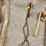 ratcheting-chain-hoist-image-1