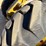 caterpillar-12g-image-5