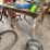 table-&-vise-image-2