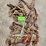 ratcheting-boomers-&-misc.-parts-image-1
