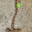 chains-image-2