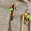 ratcheting-chain-hoist-image-2