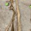 misc.-tow-straps-image-1