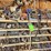 rack-&-contents-including-wall-image-3