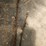 chains-image-4