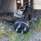 2026-sdlgc80-electric-cart-image-17