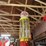 butler-upright-visible-10-gallon-gas-pump-with-kanotex-glass-globe-image-5