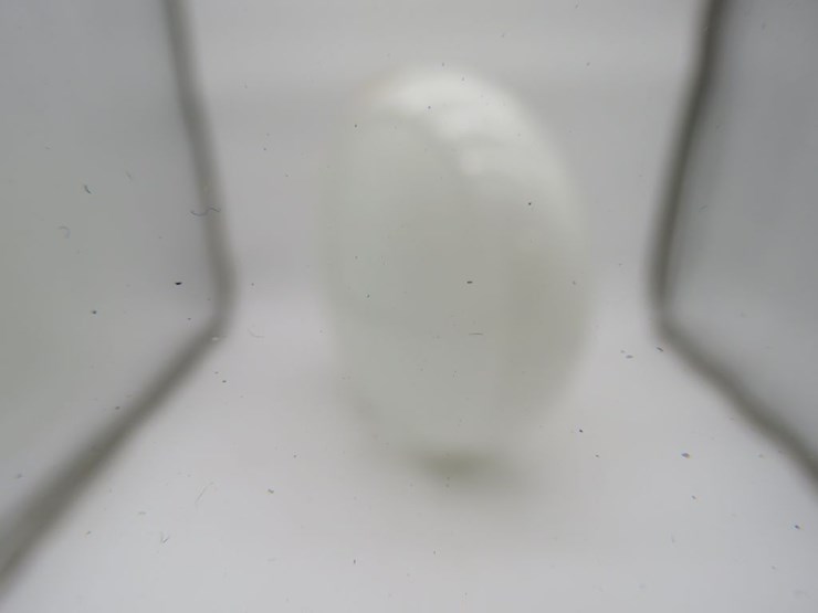 milk-glass-gas-pump-globe-with-no-faces-image-3