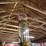 butler-upright-visible-10-gallon-gas-pump-with-kanotex-glass-globe-image-6