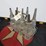 glass-oil-bottles-marquette-minneapolis-in-rack-image-1