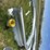 20ft-x-30ft-steel-building-image-11