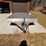 featherlite-aluminum-single-car-trailer-image-2