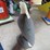cast-iron-eagle-image-6
