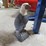 cast-iron-eagle-image-8