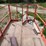 skyjack-sj8243-scissor-lift-image-17