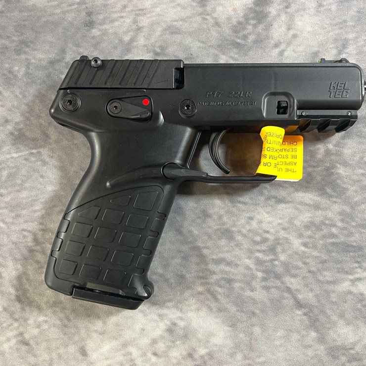 #10277 • Keltec P17 22 LR Pistol, SN: 25G5V98