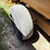 kuhn-knight-3142-image-6