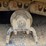2017-deere-3754g-image-35