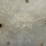 #5351-•-buick-parts-(las-cruces,-nm)-image-24