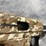 #10313-•-hi-point-firearms-c9-9mm-luger-pistol,-sn:-p10195326-image-14
