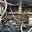 1974-hough-h65-image-20