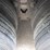 2018-great-dane-everest-ss-image-12