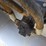 2013-dynapac-ca3500pd-image-16