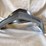 #5367-•-nova-headlight-bezels-(las-cruces,-nm)-image-6