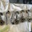 #5351-•-buick-parts-(las-cruces,-nm)-image-16