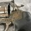 #10308-•-colt-anaconda-44-rem-mag-revolver,-sn:-ac112413-image-11