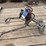 screed-heads-image-1