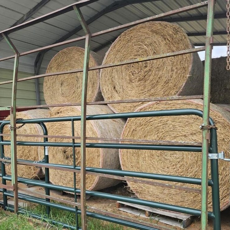 (4) Round Bales of Net Wrapped - OFFSITE