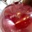#5380-•-chevrolet-fuel-cap-door-and-tail-light-(las-cruces,-nm)-image-21