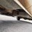#521-•-1983-chevrolet-pickup-(has-nm-title)-(las-cruces,-nm)-image-107
