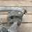 screed-heads-image-11